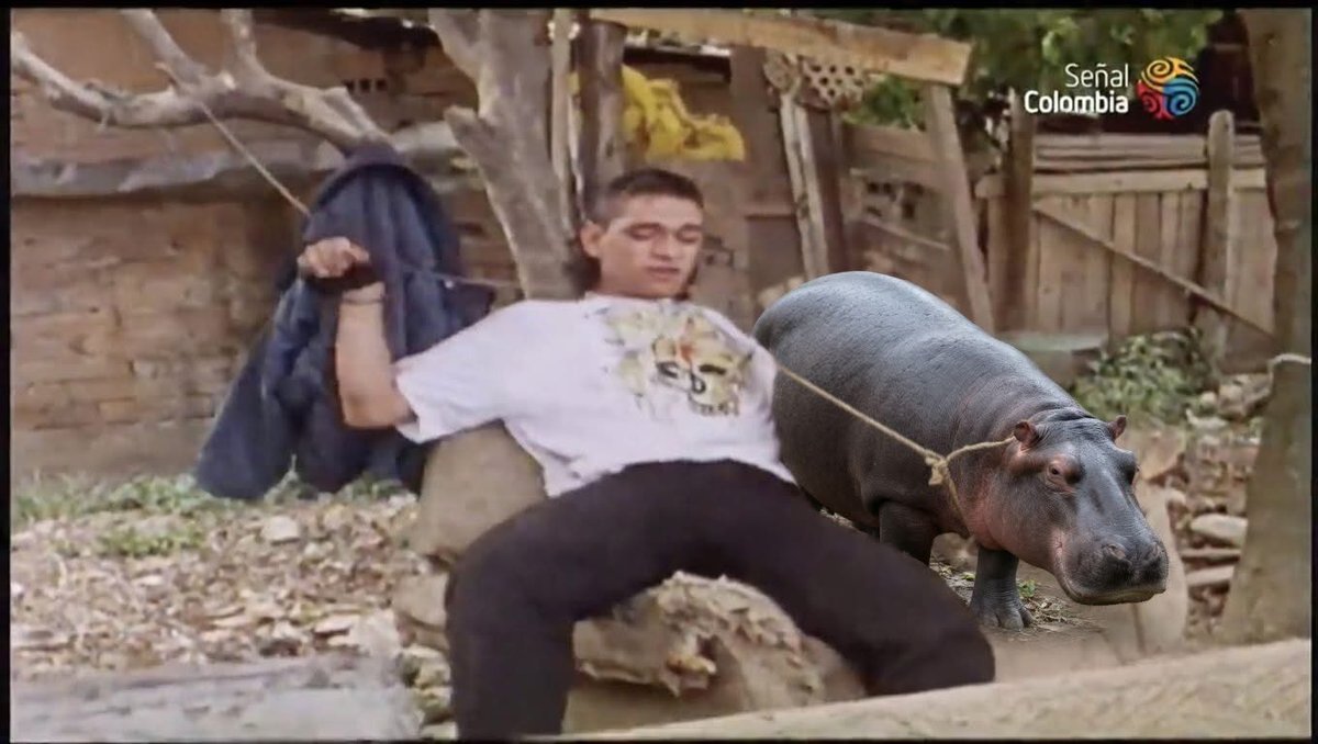 Rafael Augusto Restrepo Agudelo tweet media