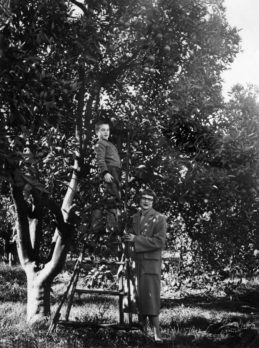 fallbrookwater's tweet photo. Throwback Thursday, circa 1940. Tom grew up here—on what is now #FPUD land and the site of our wastewater treatment plant on Alturas Road—long before pipelines, treatment facilities, and modern infrastructure, when this was a thriving citrus and avocado farm.

He’s pictured here with his mother beneath the orchard trees. This landscape predates the establishment of Camp Pendleton in 1942.

A reminder that before today’s systems and services, families like Tom’s lived and worked on the ground we serve today. #Fallbrook