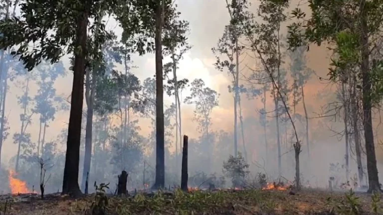 teleSUR English tweet media