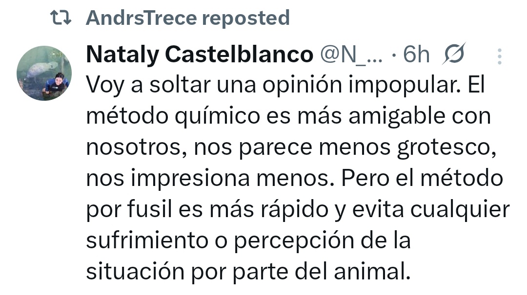 Fay (Mahelet) tweet media