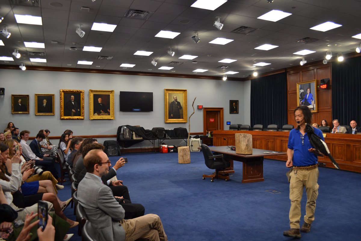 CongMikeSimpson's tweet photo. I was being serious when I said we were hosting a bird show in Rayburn! https://t.co/cS7qKnlkuN