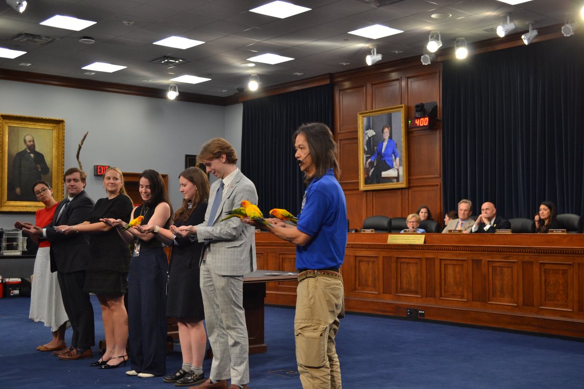 CongMikeSimpson's tweet photo. I was being serious when I said we were hosting a bird show in Rayburn! https://t.co/cS7qKnlkuN