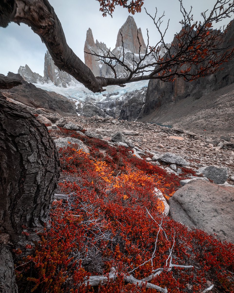 argentinapatago's tweet photo. Otoño patagónico 🍂🌄
📍El Chaltén, Santa Cruz. 
🎥 @jaimegarcesphoto https://t.co/Vuz1ZVCgNT