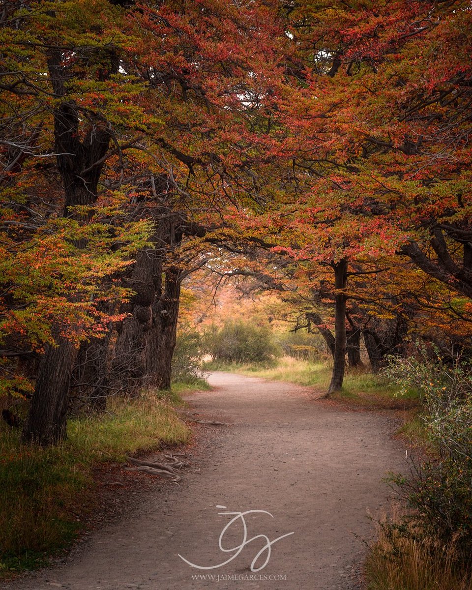 argentinapatago's tweet photo. Otoño patagónico 🍂🌄
📍El Chaltén, Santa Cruz. 
🎥 @jaimegarcesphoto https://t.co/Vuz1ZVCgNT