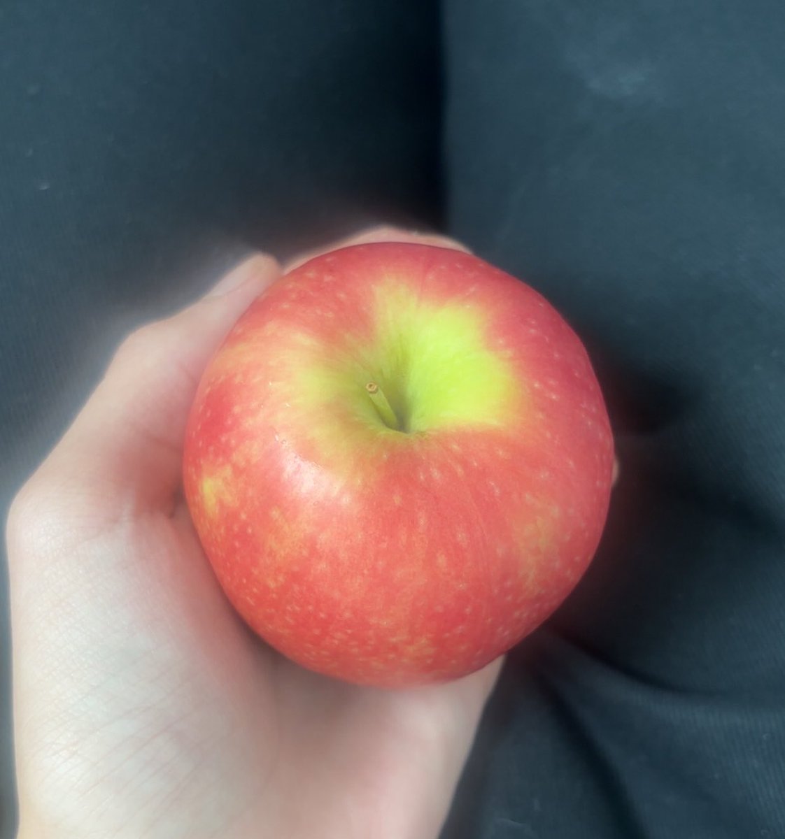 👑Javon tweet media