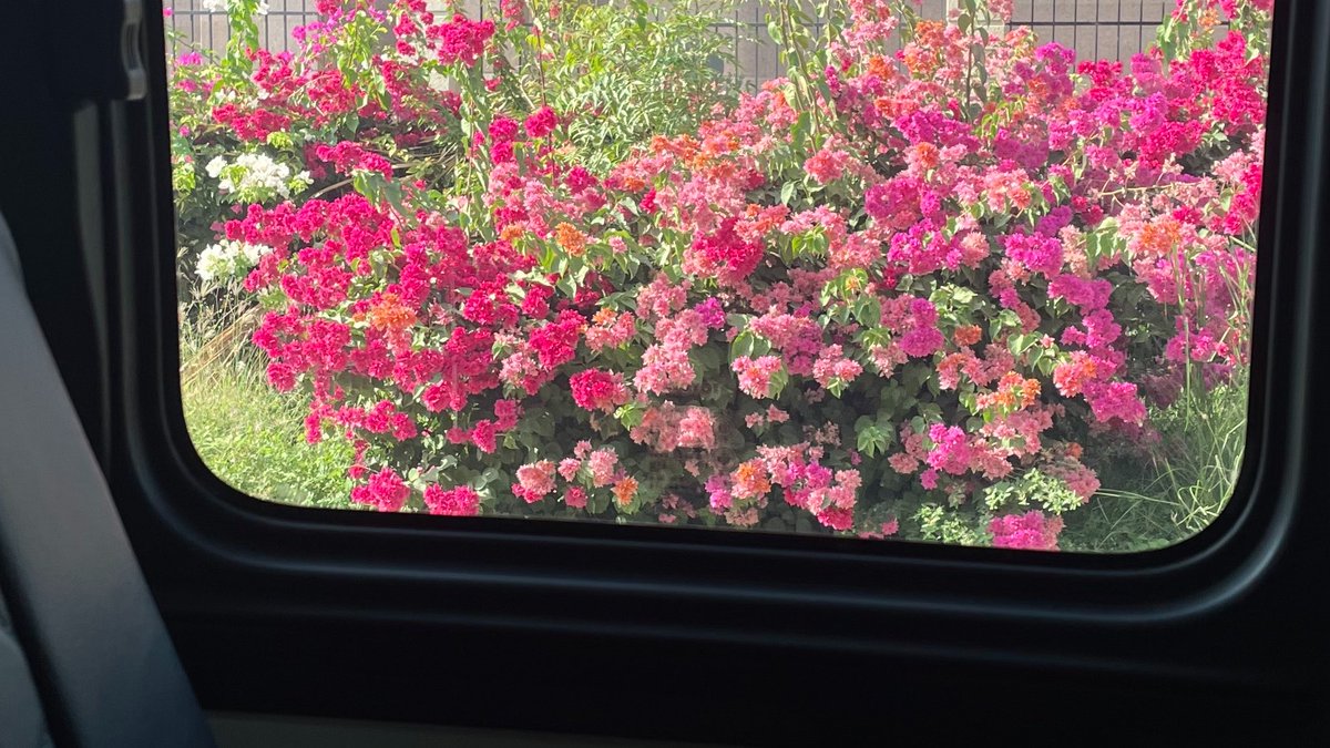 لـمار tweet media