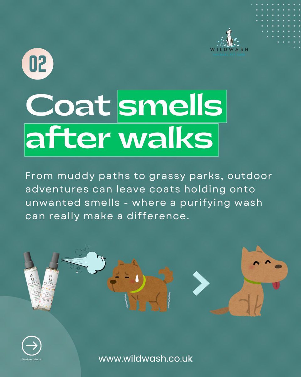 WildWash's tweet image. Fresh Pup Days 🐾

Noticing unwanted smells on your dog? From muddy walks to everyday build-up, it happens more than you think.

A simple routine can help keep coats clean, fresh, and cuddle-ready—every single day. 🌿💛

#dogcare #doggrooming #freshdog #dogtips #petcare