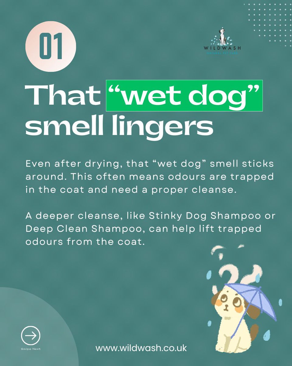 WildWash's tweet image. Fresh Pup Days 🐾

Noticing unwanted smells on your dog? From muddy walks to everyday build-up, it happens more than you think.

A simple routine can help keep coats clean, fresh, and cuddle-ready—every single day. 🌿💛

#dogcare #doggrooming #freshdog #dogtips #petcare