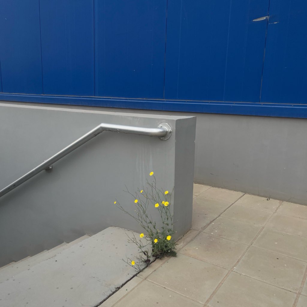 الإيجابي وسط بيئة سلبية