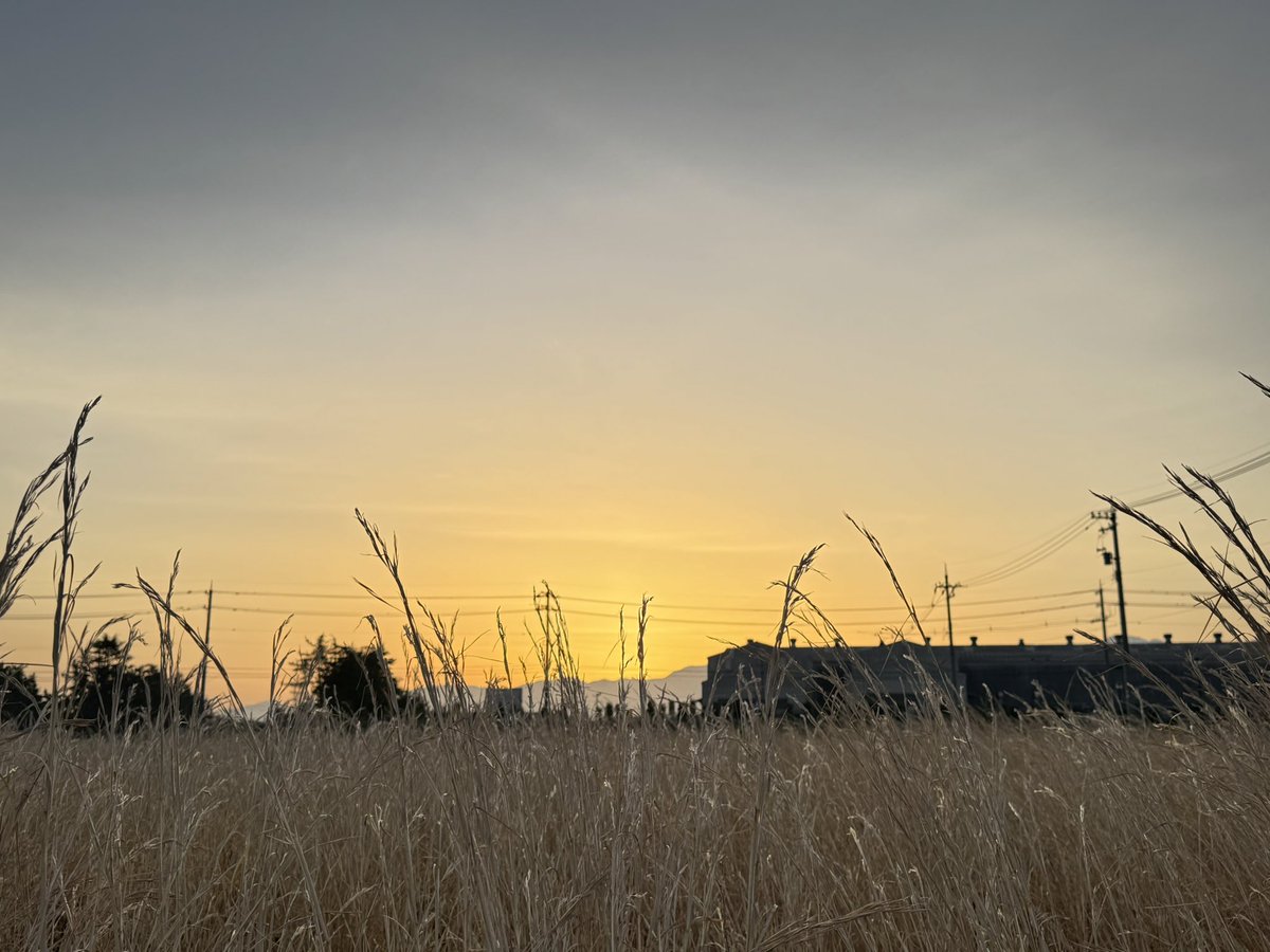 ふぇいん tweet media