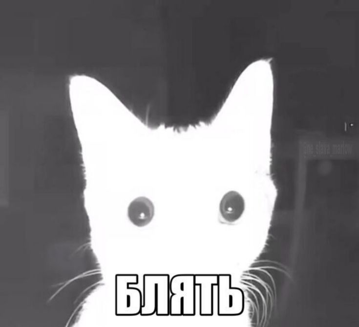 ᴅᴀʀᴇɴ tweet media