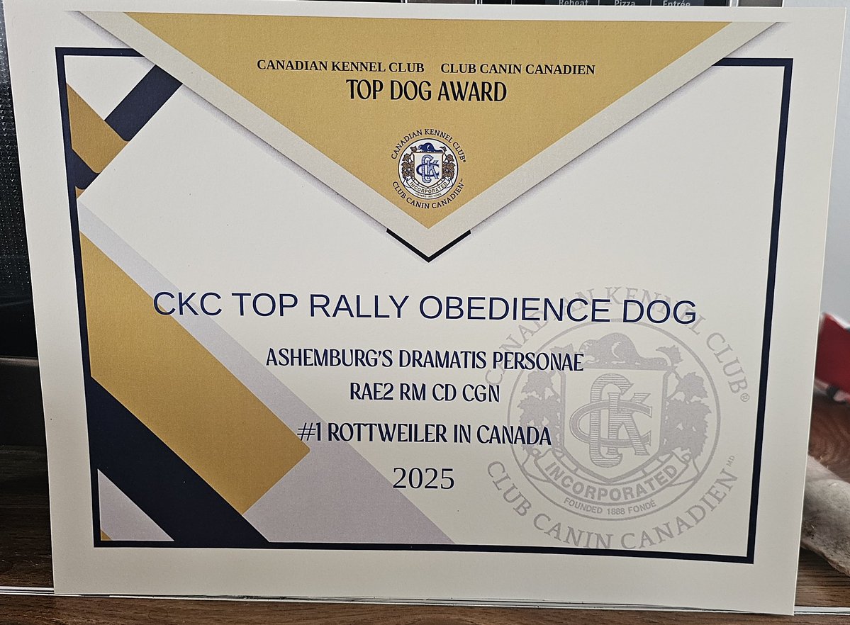 Team Servicerottie🇨🇦🐕‍🦺🦽 tweet media