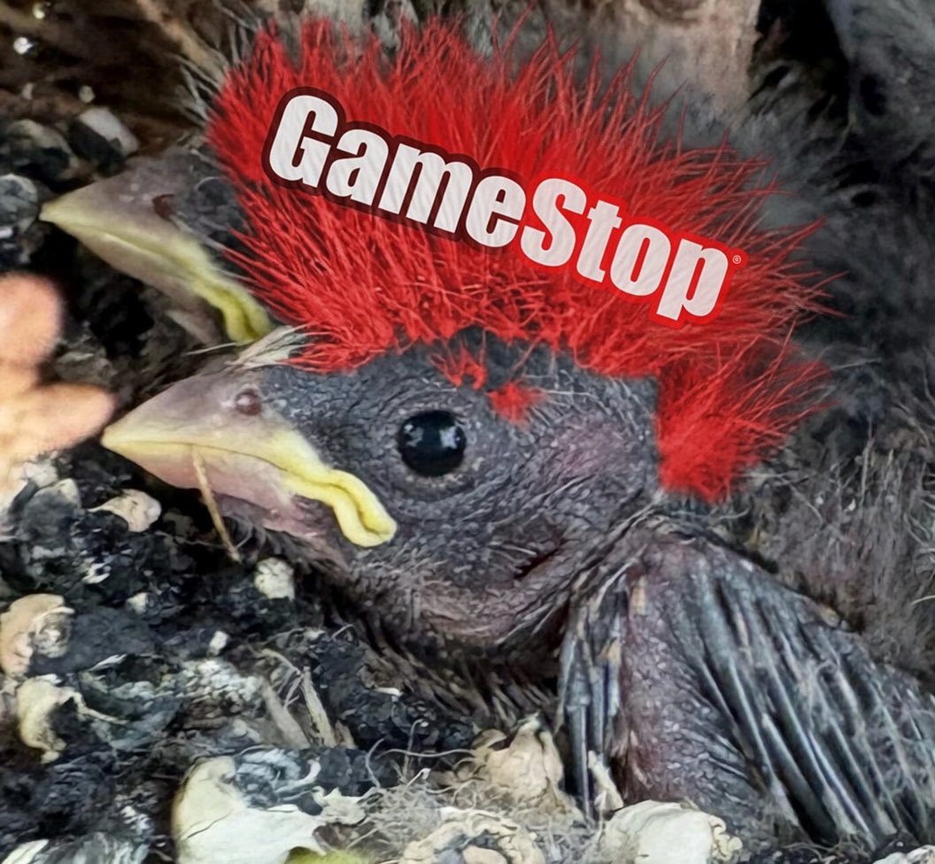 winmonies tweet media