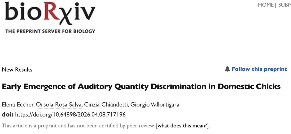 Giorgio Vallortigara tweet media