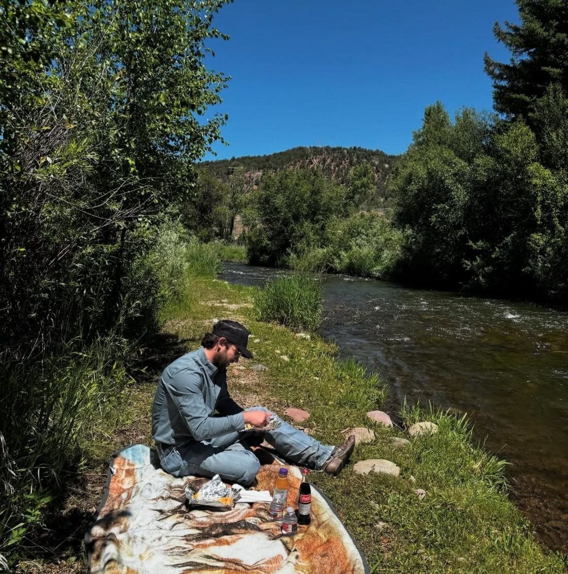 The Bull Moose Project tweet media