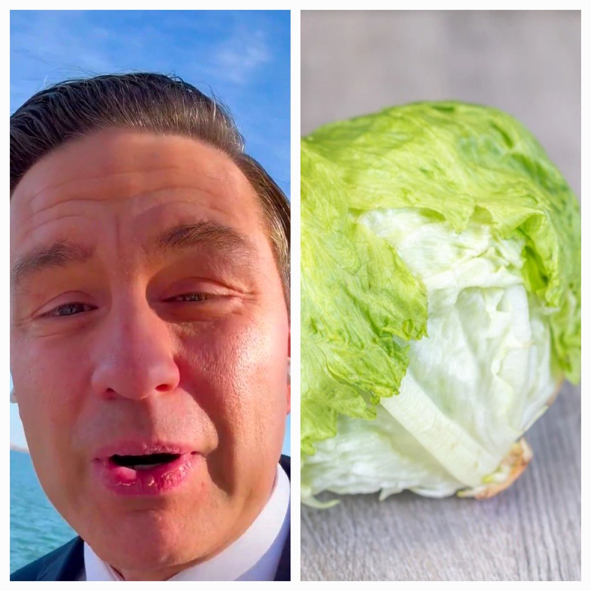 MeanLadyOnTheSwing♀️ tweet media