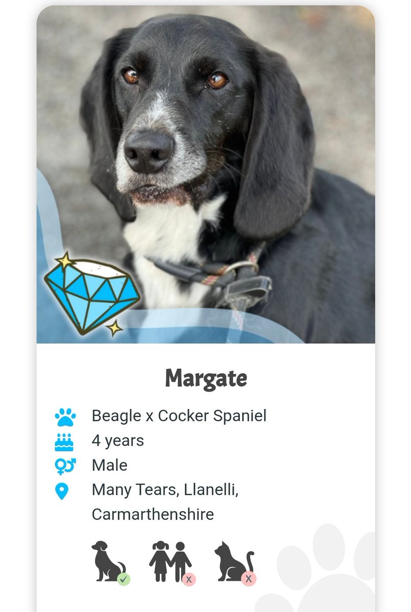 Millie🐾🌈#oneforallandallformillie 🐾🌈 tweet media