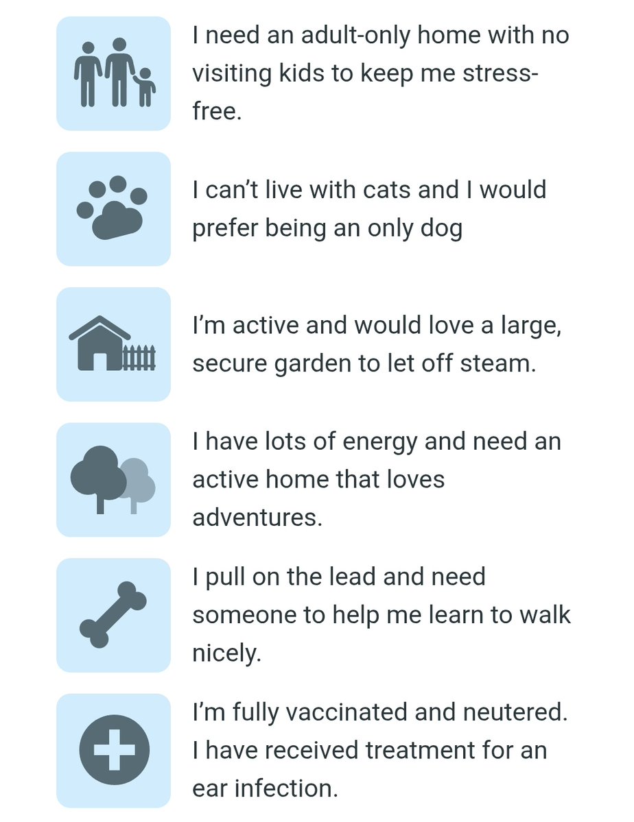 Millie🐾🌈#oneforallandallformillie 🐾🌈 tweet media