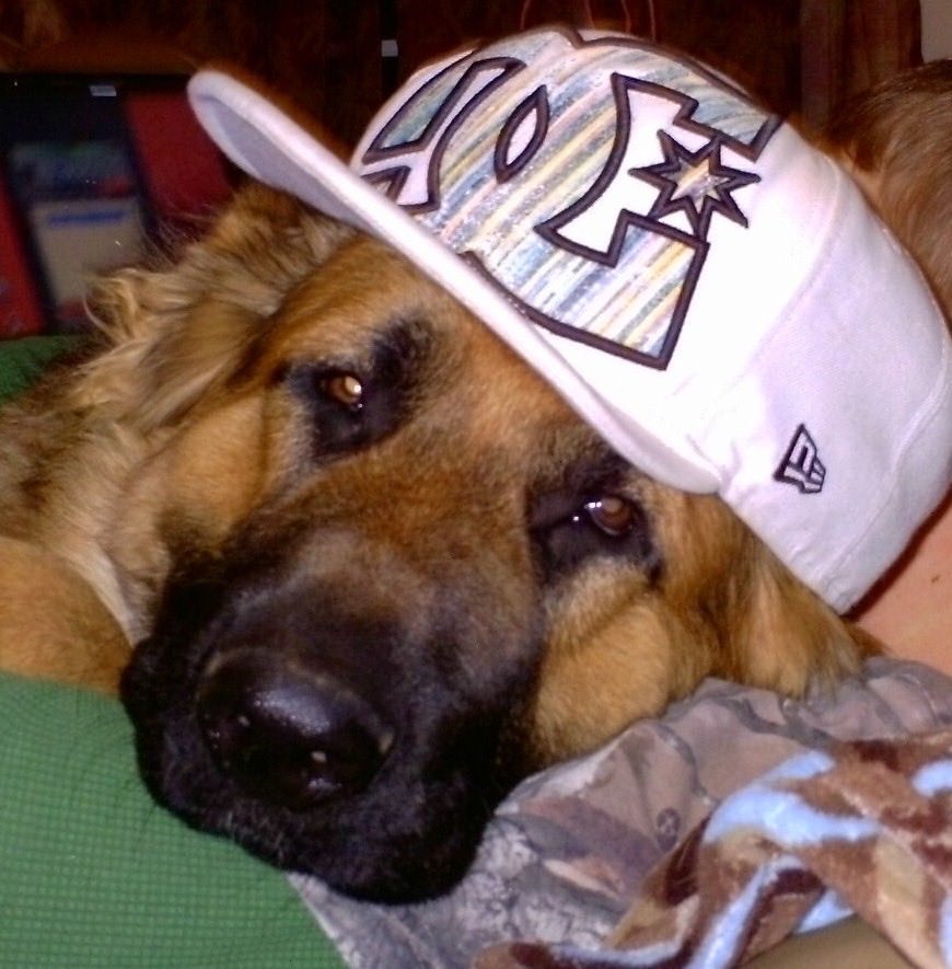 dean buttchester 📼 || TBS5 pilled tweet media