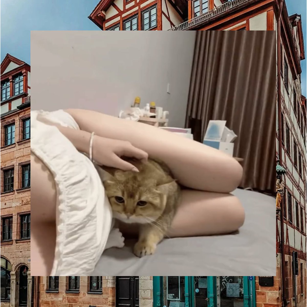 Michael Viswanathan tweet media