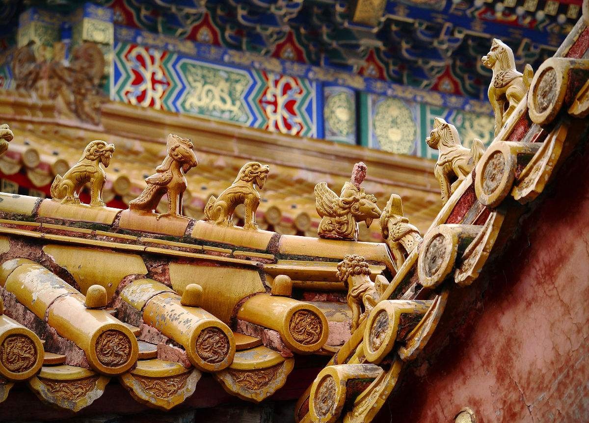 manyapan's tweet photo. Why is there not a single weed on the rooftops of the Forbidden City (1,200 buildings)? It’s not a matter of daily cleaning, but of painstaking traditional craftsmanship: a systematic project that took a full two years in which workers lifted each single glazed roof tile, extracted roots & seeds, and sealed every gap between tiles to prevent regrowth. No herbicides were used, since any damage to the historic buildings would be devastating.
They also appear clean because, due to their slope and smooth surfaces, they’re not attractive to birds. 
This probably sounds like a tour guide story, but I just found out today, and find everything about the Forbidden City fascinating, so we all learn something new.🌱
