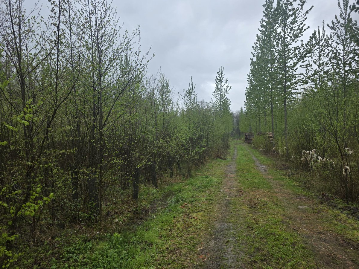 Emeric Salmon tweet media