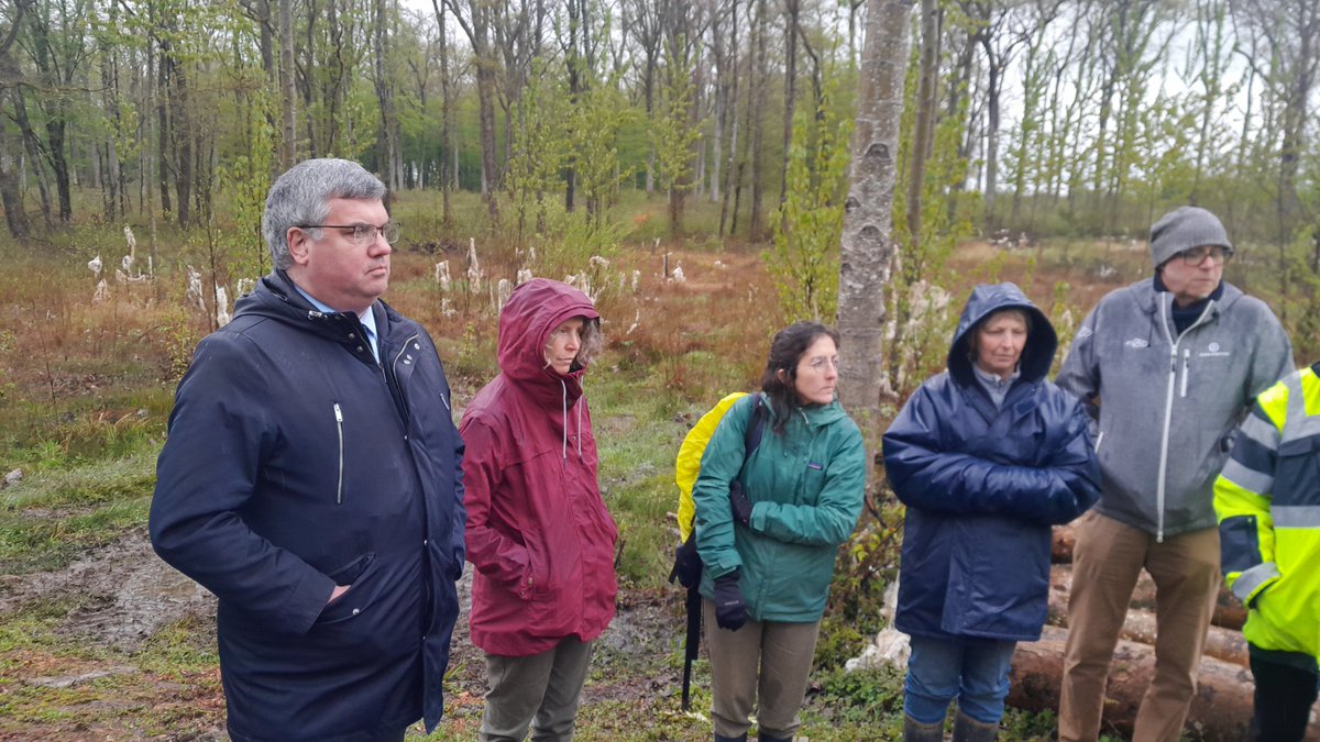 Emeric Salmon tweet media