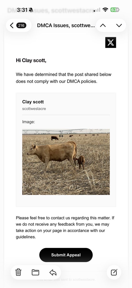 Clay scott tweet media