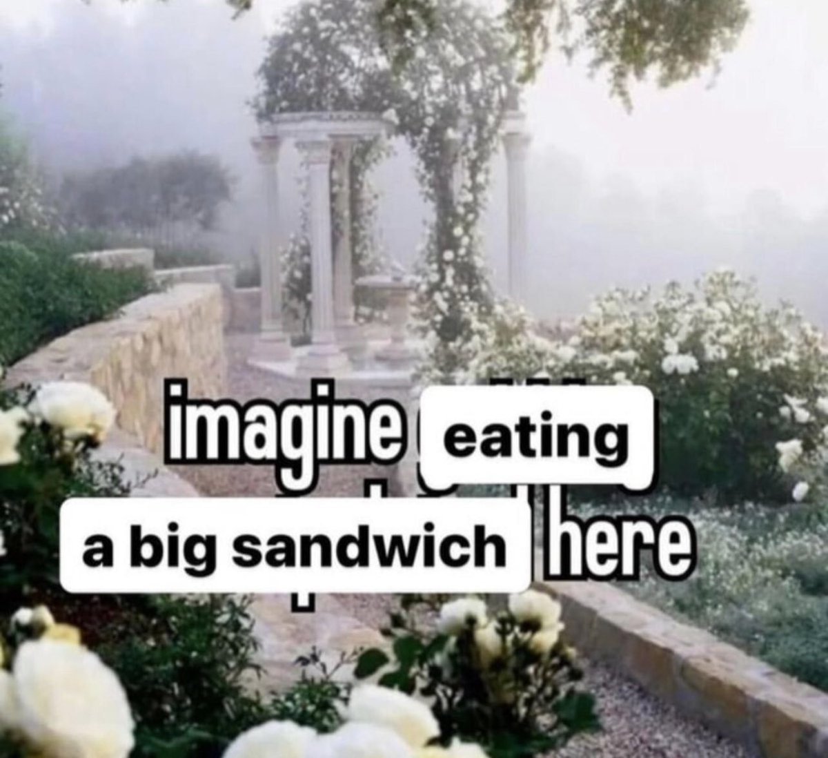 DeviantPigg tweet media