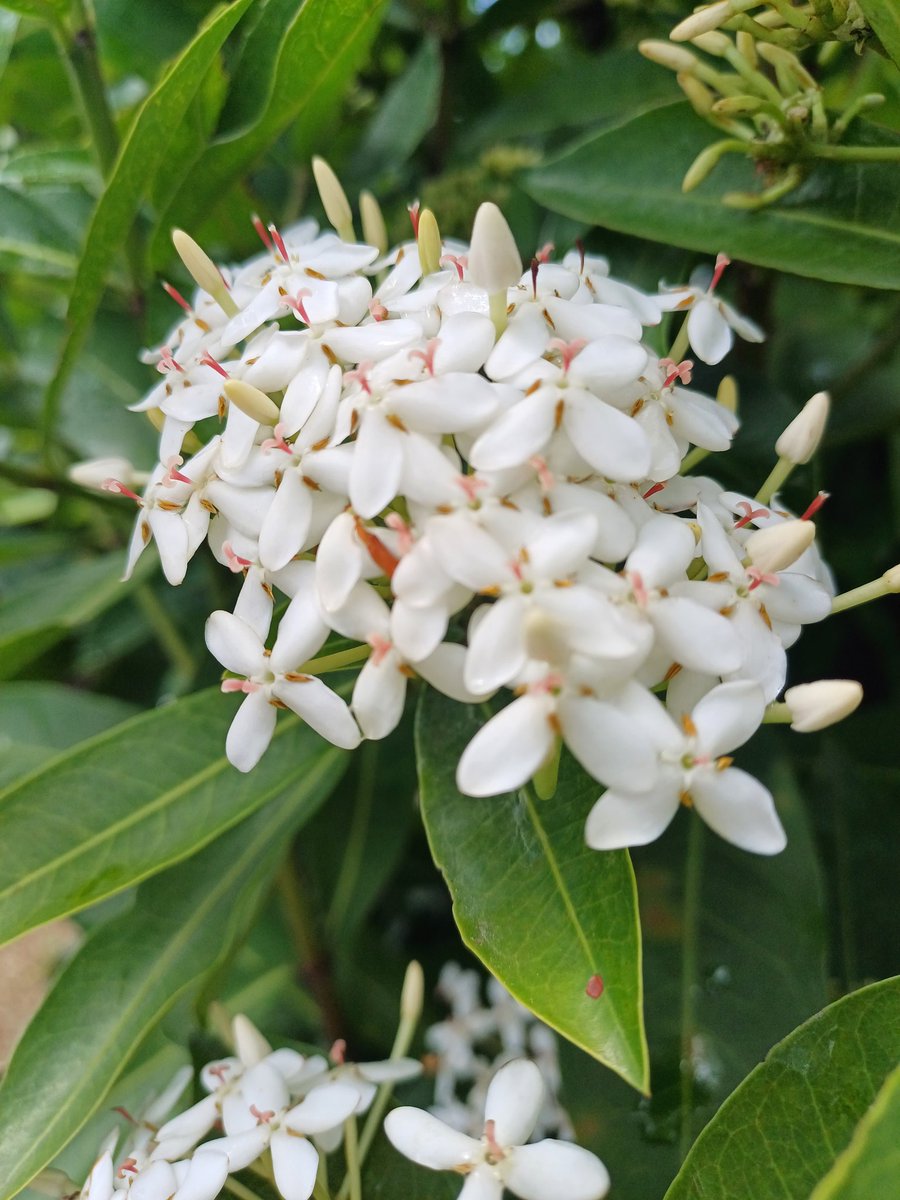 Really can hardly wait to share the new edition of the magazine with you! So a sneak intro on what's ready:
The Founder's Note 
The stories of Anja, Aza, Petra, Alejandra, Bri.  
The cover art is ready too 🤗🥳
Do you know any of these names?
If not, no worries, you will soon!