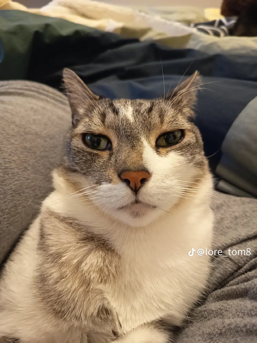 I beat Sonic Riders all missions and I will say... What the fuck... Some were cool tho
I now have an idea how to handle challenges in my Sonic Chrono adventure remaster
First and for most is to fucking not add ice factory slippery collector some shit mission with shitty controls