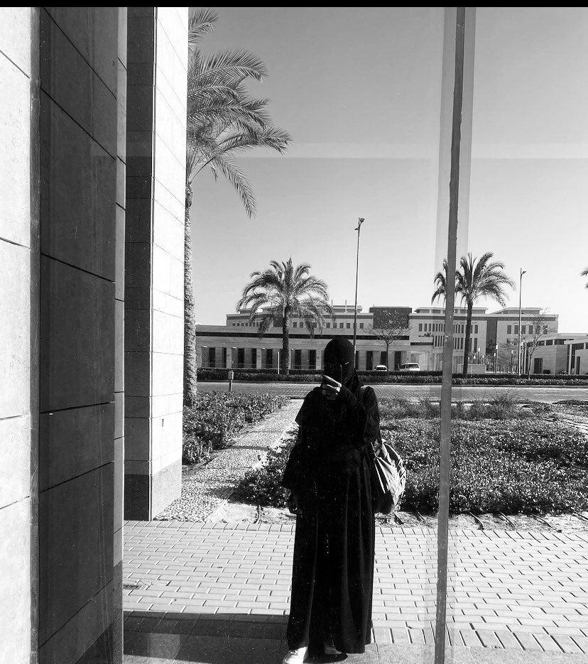 نُــور𓂆 tweet media