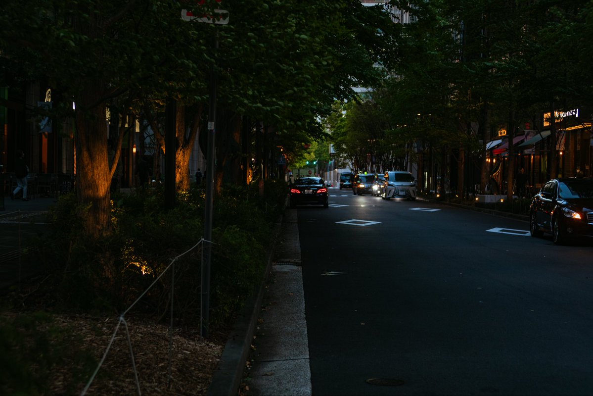 twin_troussier's tweet image. 大都会の森🌳
Camera:Canon EOS 5D mark Ⅳ 
Lens:TOKINA AT-X 35-70mm F2.8
#snap #キリトリセカイ