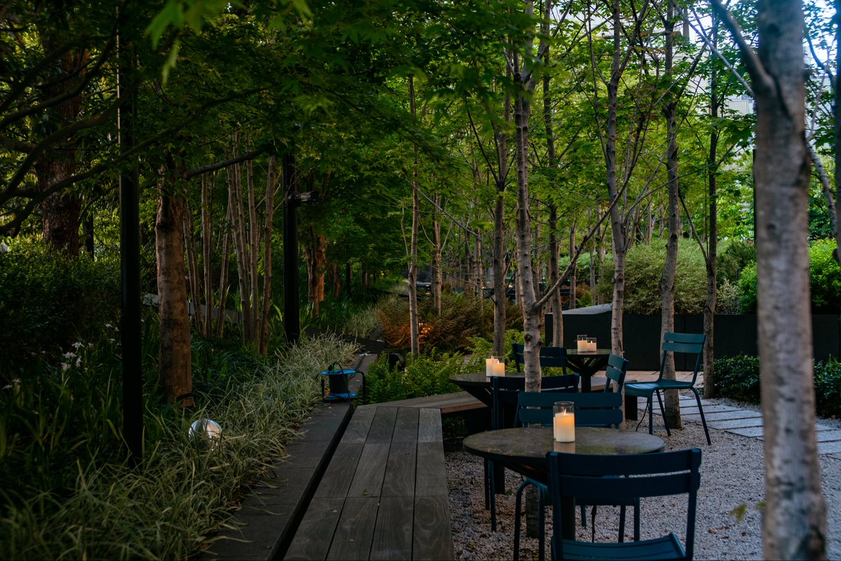 twin_troussier's tweet image. 大都会の森🌳
Camera:Canon EOS 5D mark Ⅳ 
Lens:TOKINA AT-X 35-70mm F2.8
#snap #キリトリセカイ