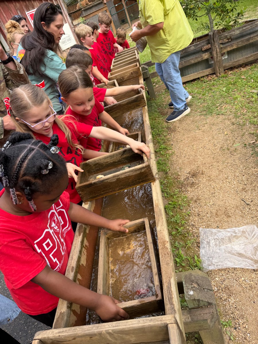 petalschools's tweet image. Petal Primary School first graders took a step back in time during their field trip to Landrum’s Homestead &amp;amp; Village!
Students experienced life in the late 1800s, from interacting with farm animals to exploring school houses and chapels! #FieldTripFun #MomentsMatter