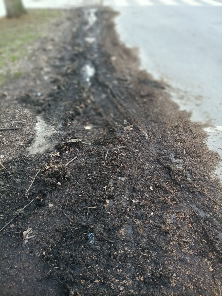 Stephen Wickens 🇺🇦 🇨🇦 tweet media