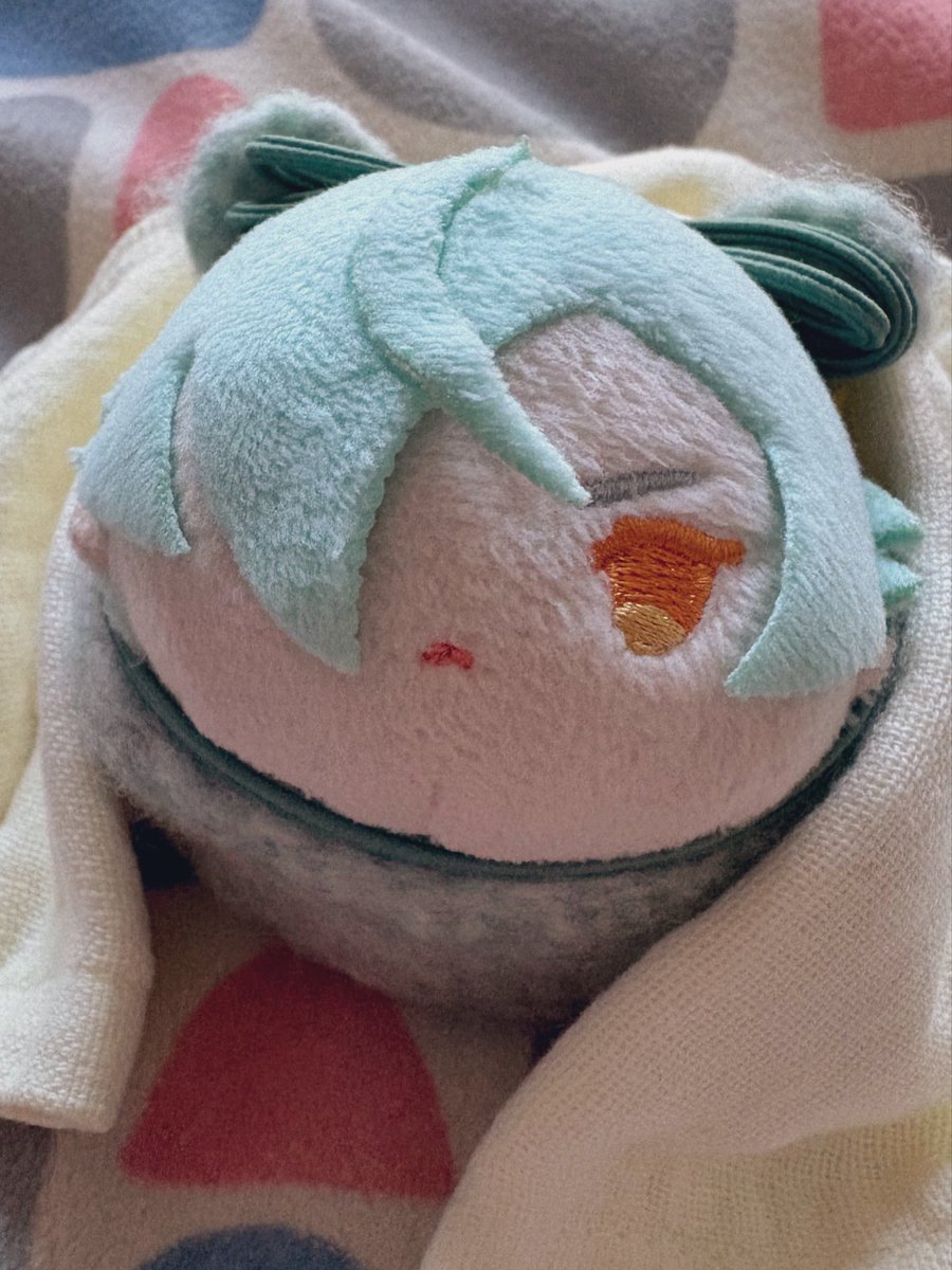 ぺこ 不在がち…🥲 tweet media