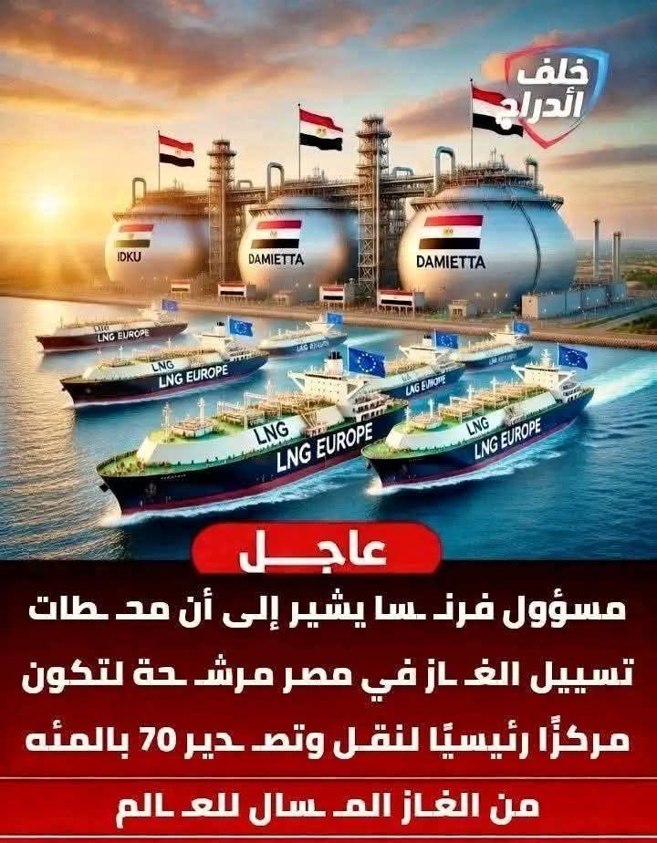 شيماء حافظ . حساب جديد في حب مصر . رقم 19 تحيا مصر tweet media