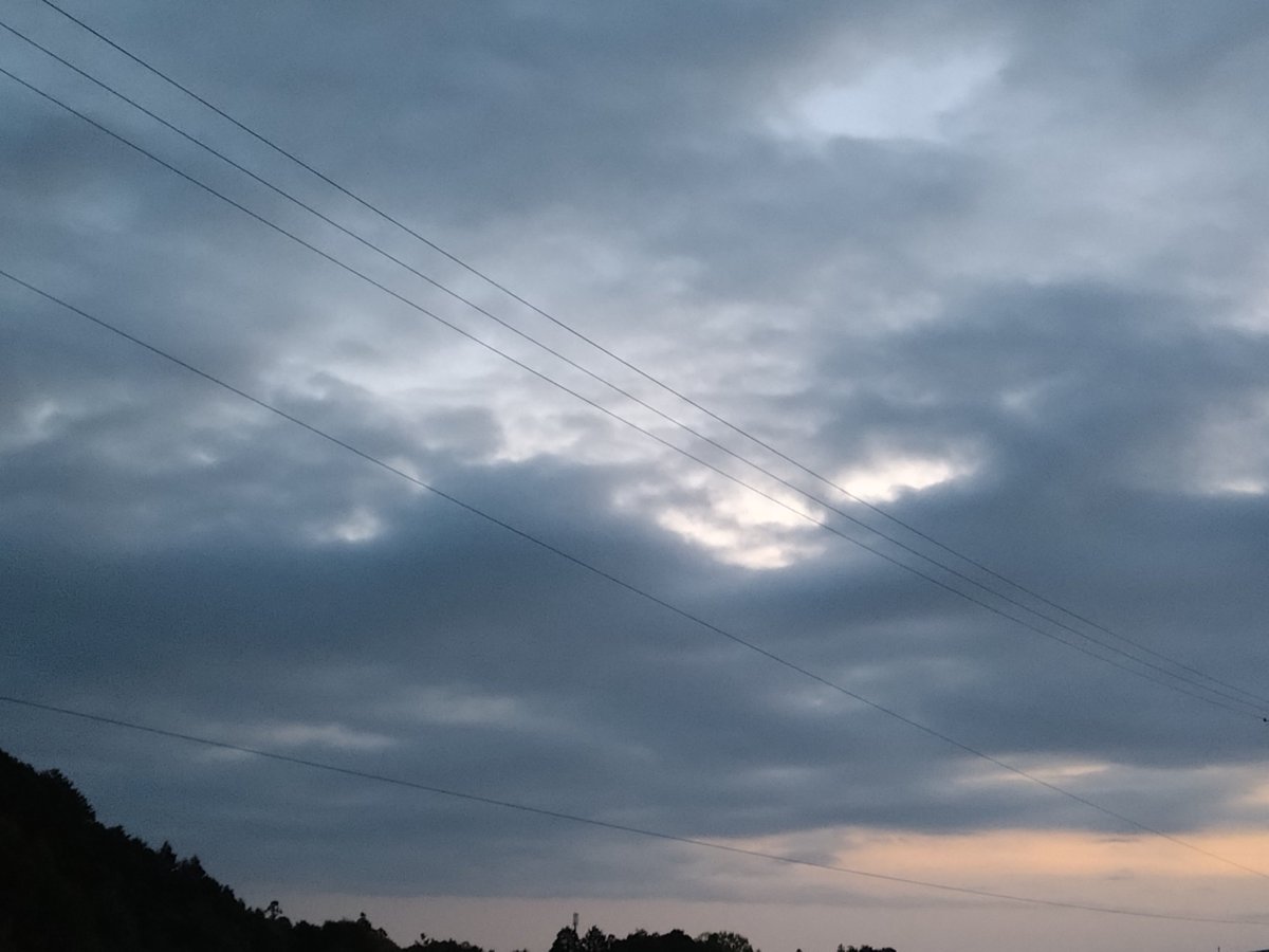 かりんと*𖠿 tweet media