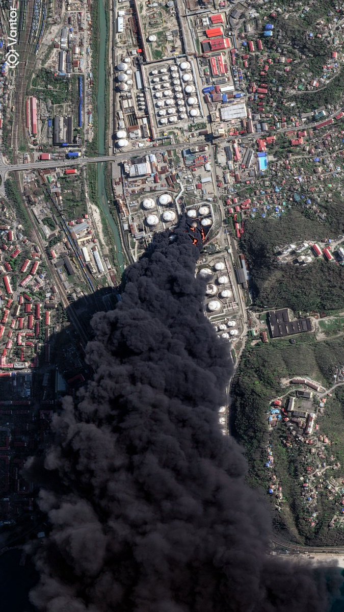 MizarVision Watcher tweet media