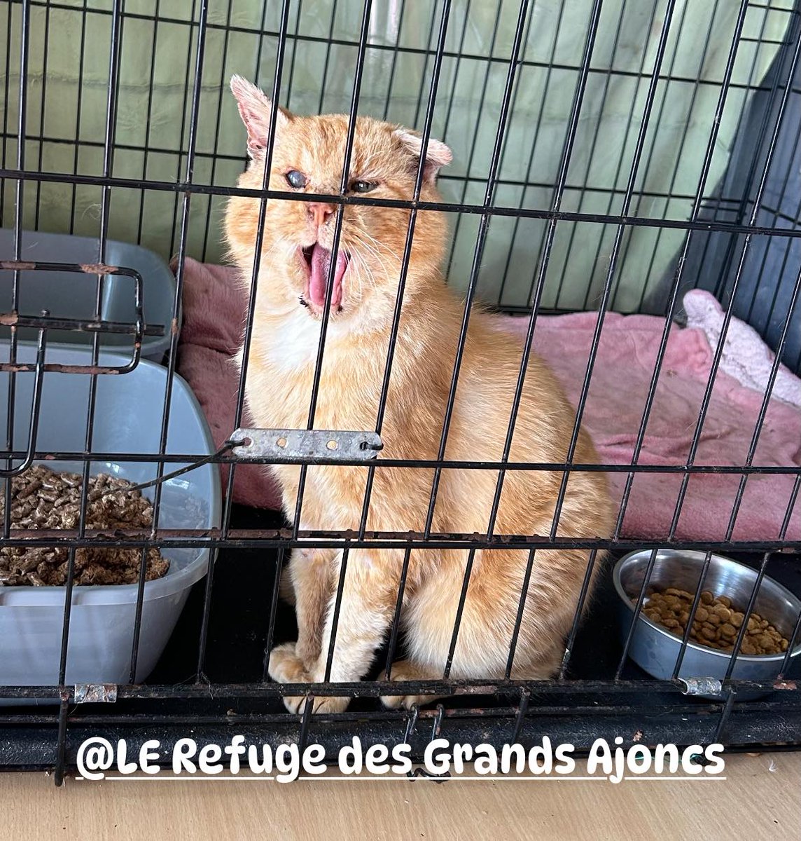 justine44 tweet media