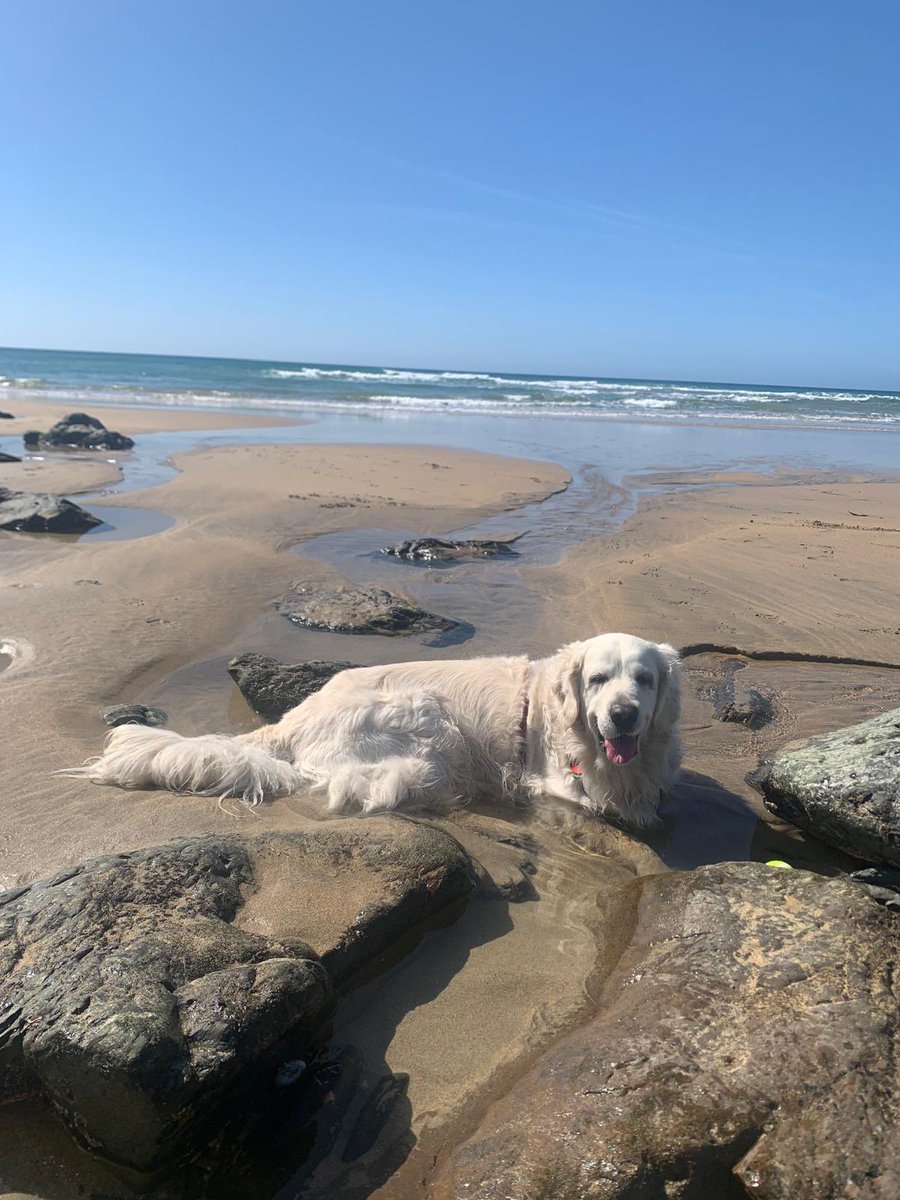 stephmarkmolly's tweet photo. @WoodlandNomad #waveclub Clara says she likes this club. Living on a island we have plenty of opportunities for pictures https://t.co/LXmmhjJIb5