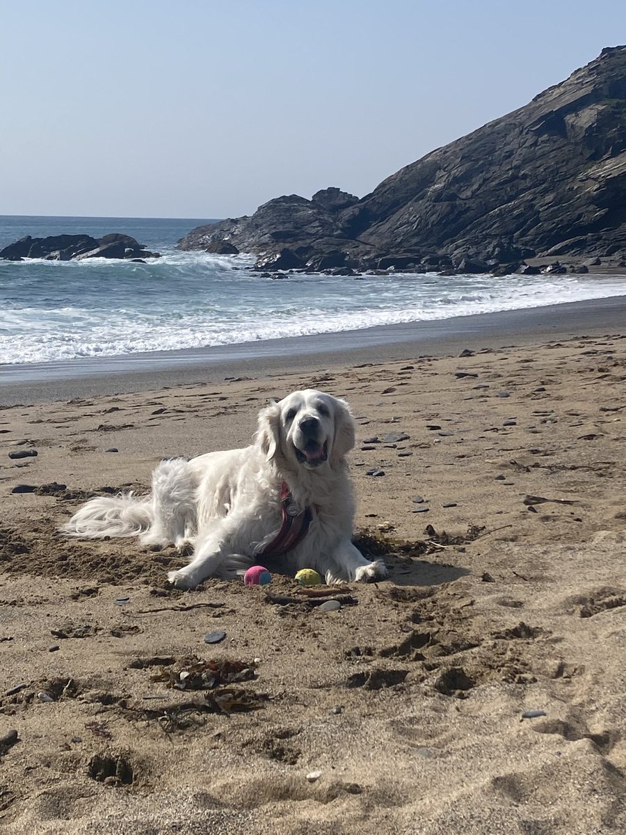 stephmarkmolly's tweet photo. @WoodlandNomad #waveclub Clara says she likes this club. Living on a island we have plenty of opportunities for pictures https://t.co/LXmmhjJIb5