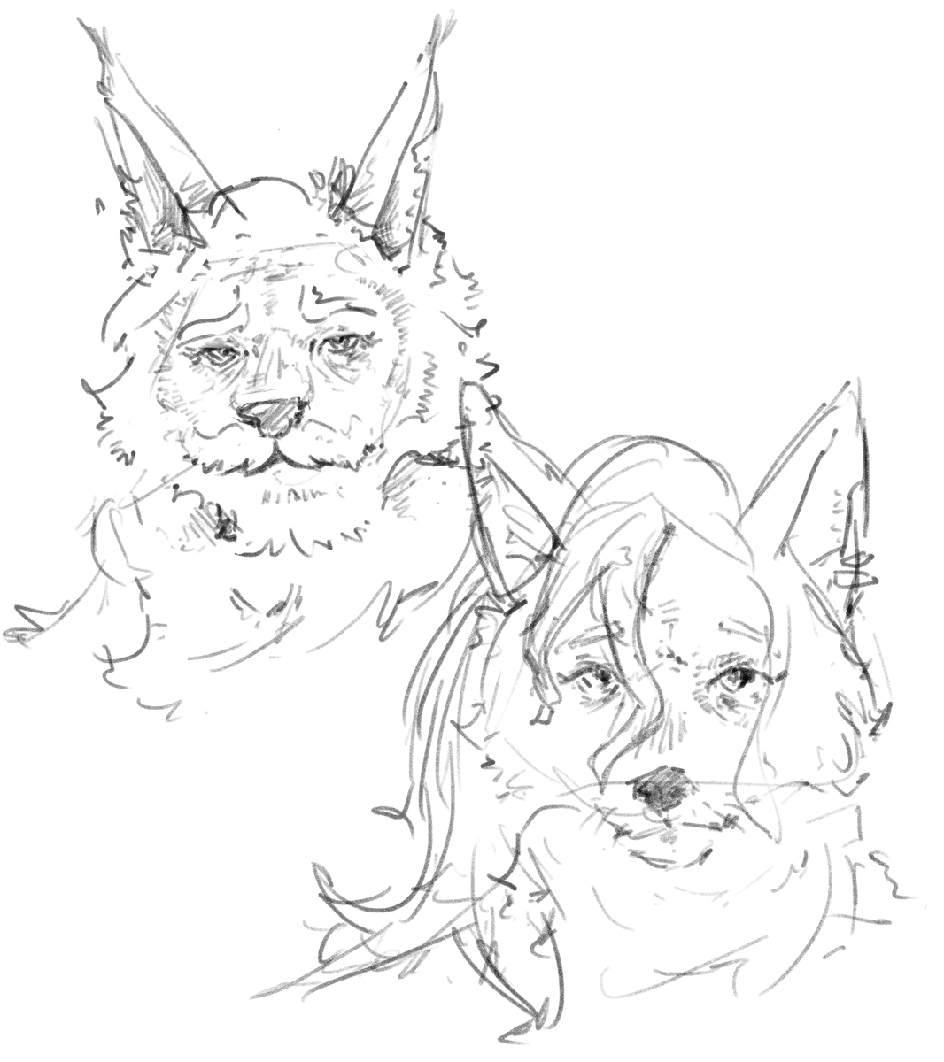 shiroin ꩜ tweet media