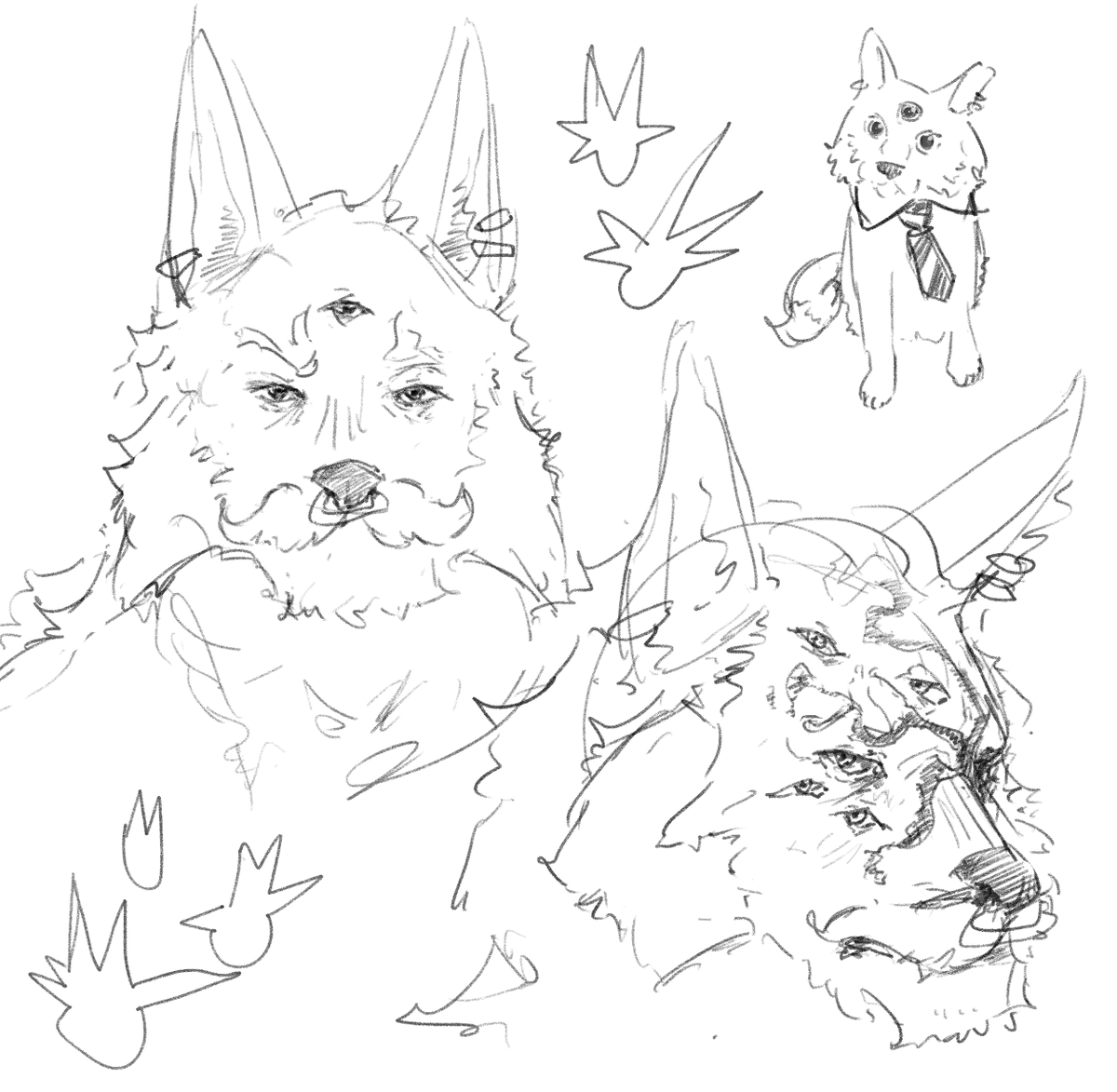 shiroin ꩜ tweet media