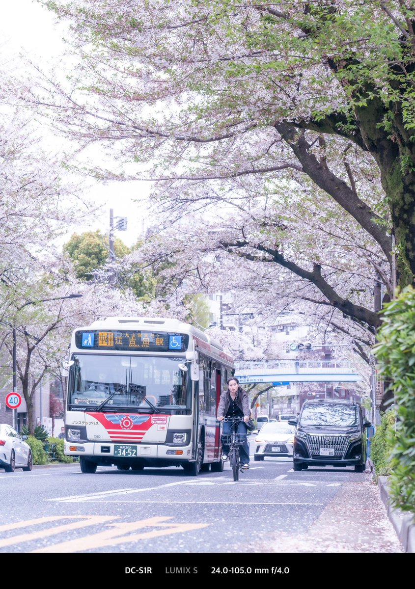 吉田 凛子 (Rinko Yoshida) tweet media