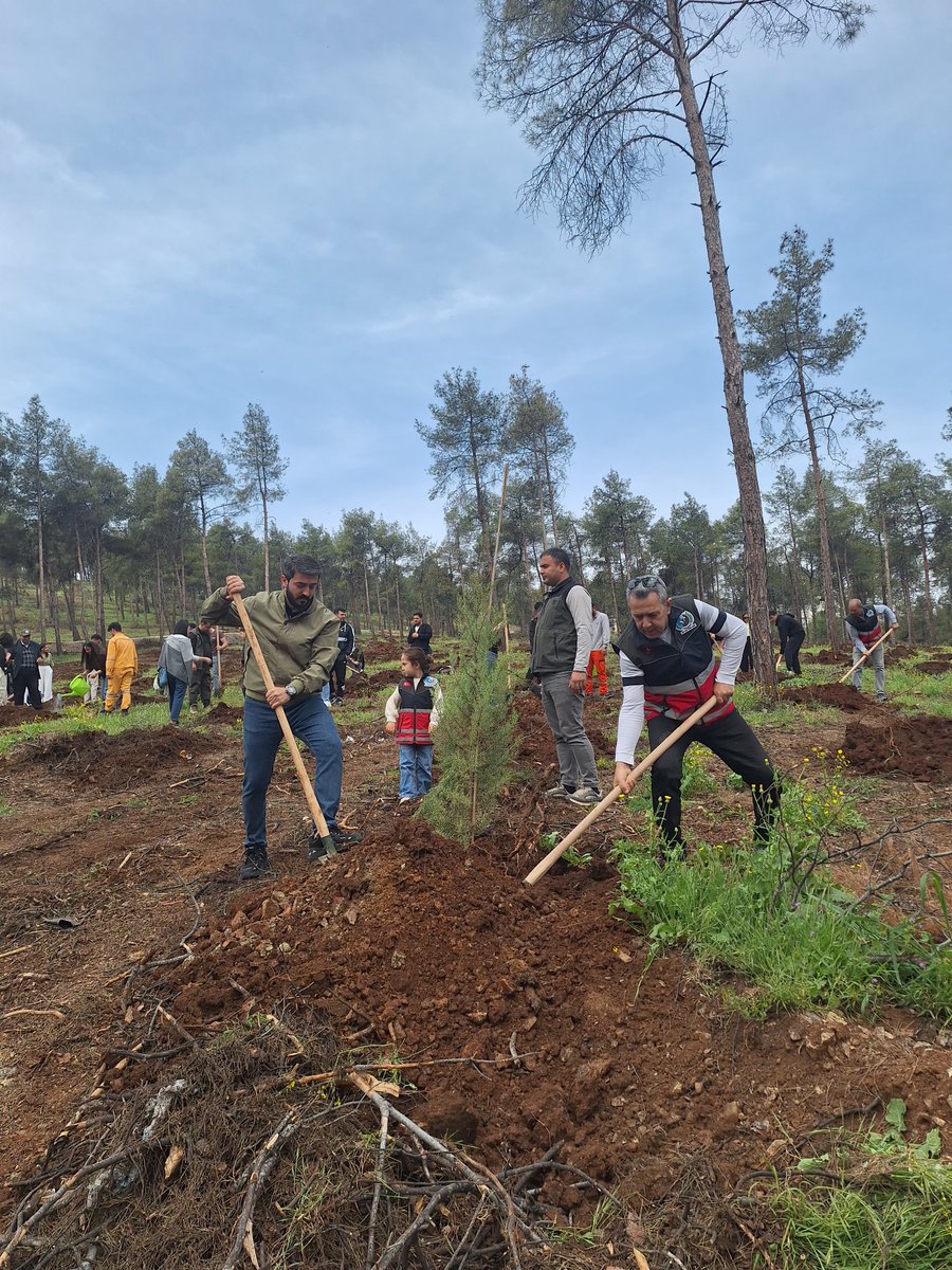 Abdullah ÖĞÜNÇ tweet media