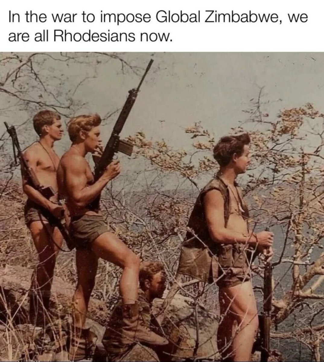 ThPeterLockhart tweet media