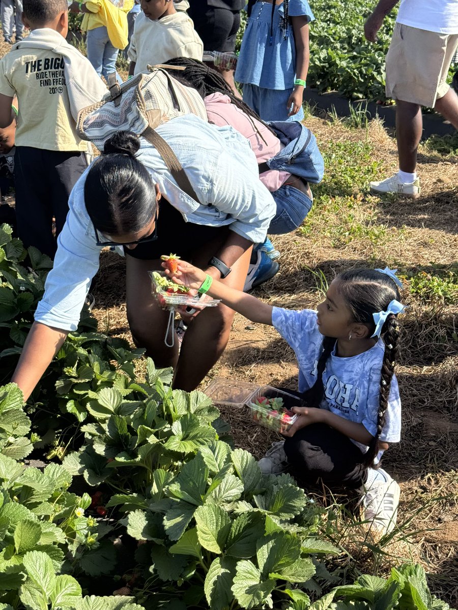 KiaChavous's tweet photo. First grade field trip fun at @SouthernBelleFa! 🍓 We picked fresh strawberries, made giant bubbles, and had a blast jumping on the big pillow. So many smiles and sweet memories! #FieldTrip #FirstGradeFun @BethlehemES_HCS https://t.co/JN6UuDSGkx