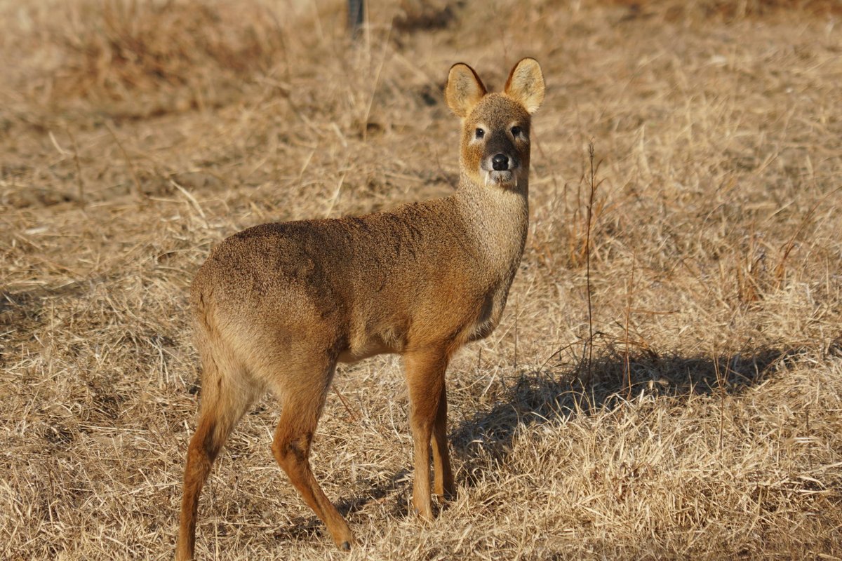 아이나 tweet media